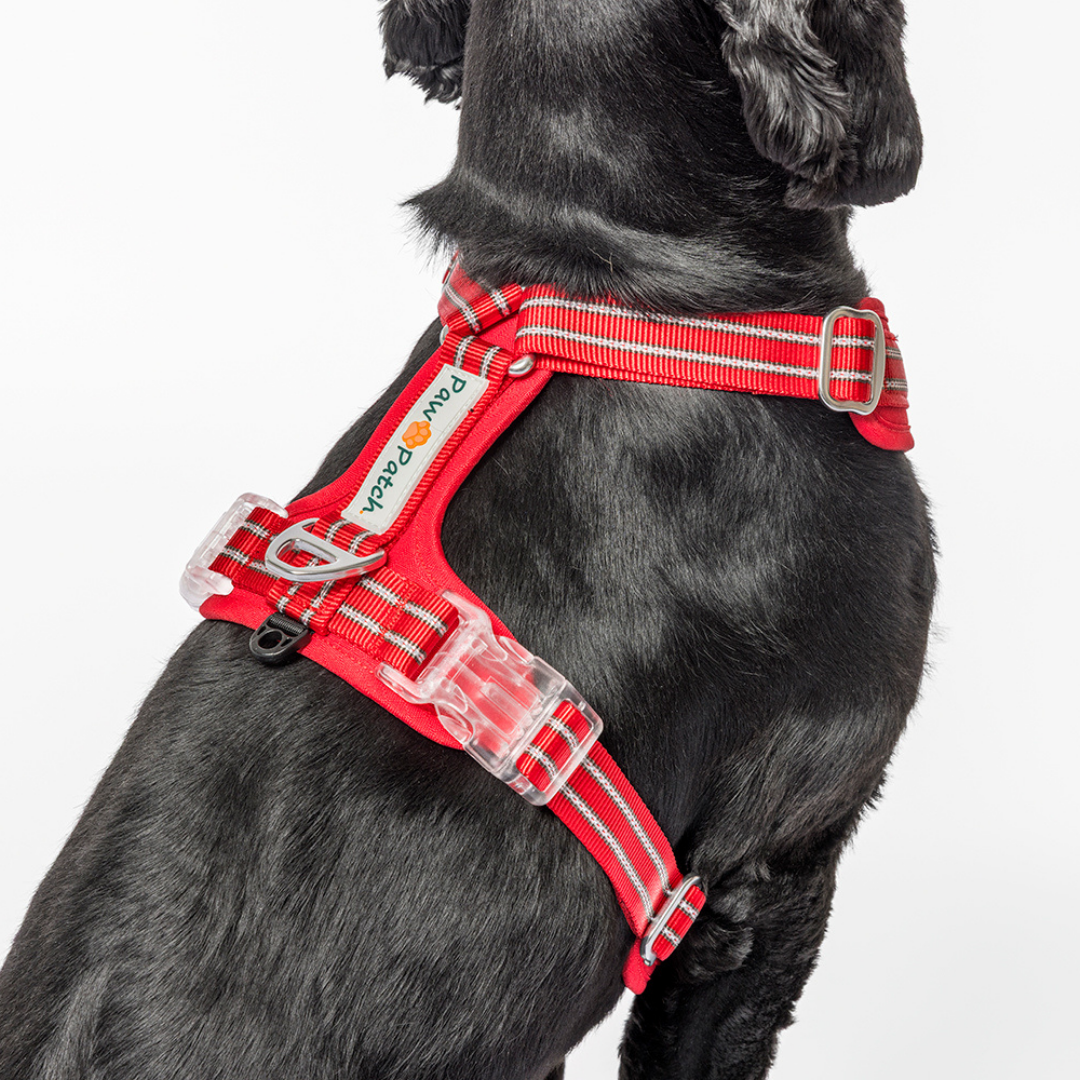 Premium Comfort Harness - Black