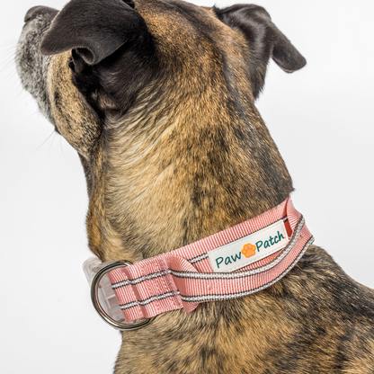Premium Comfort Collar - Pink