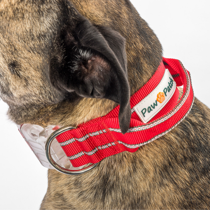 Premium Comfort Collar - Red