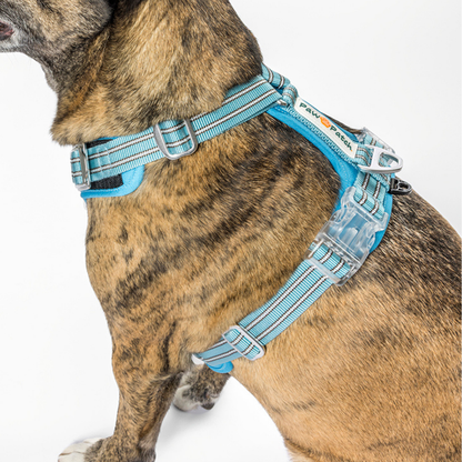 Premium Comfort Harness - Blue