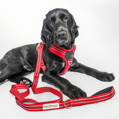 Premium Comfort Leash - Red