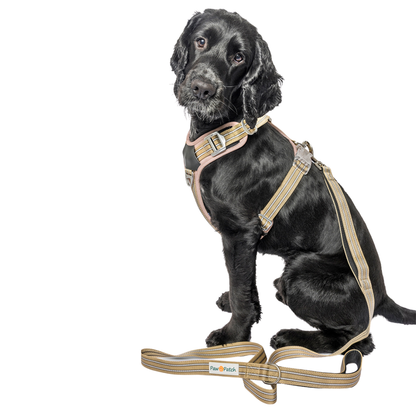 Premium Comfort Leash - Beige