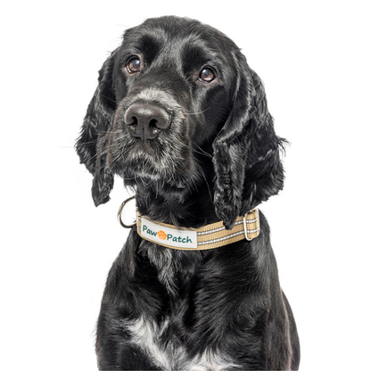 Premium Comfort Collar - Beige