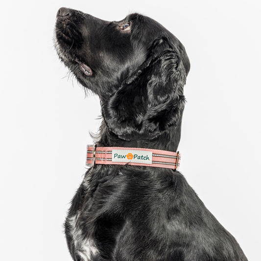 Premium Comfort Collar - Pink