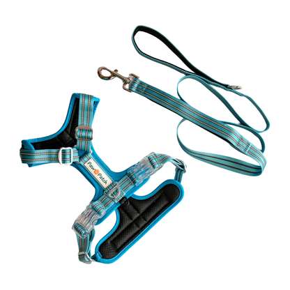 The Pro Comfort Duo (Harness + Leash)