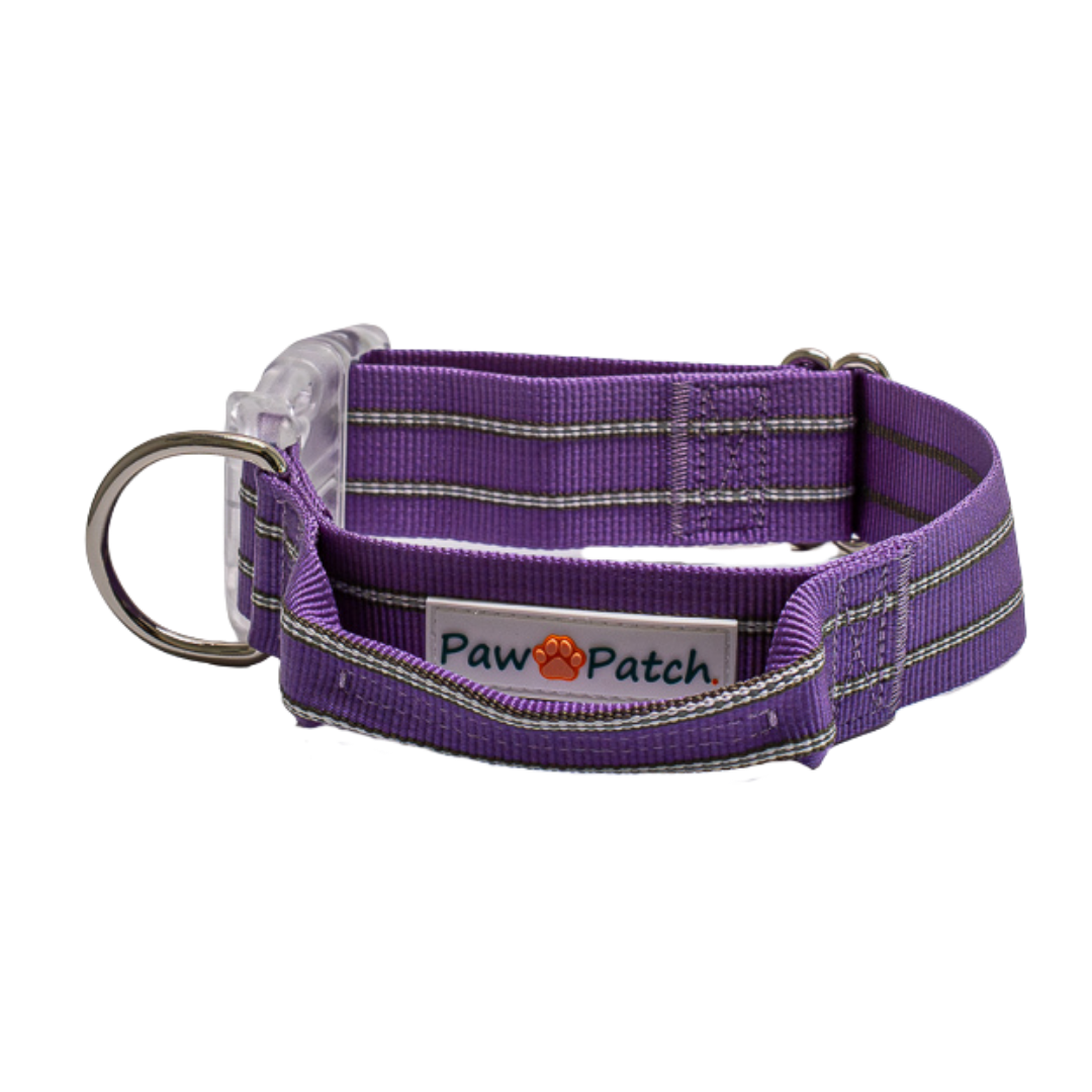 Premium Comfort Collar - Purple