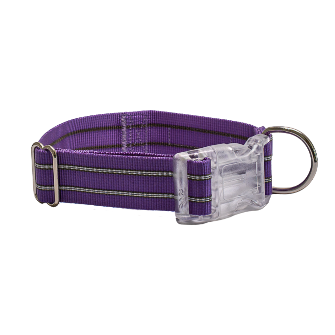 Premium Comfort Collar - Purple