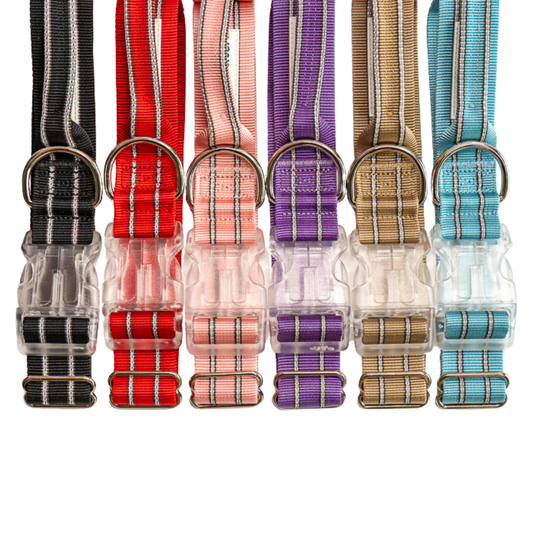 The Signature Comfort Duo (Collar + Leash)