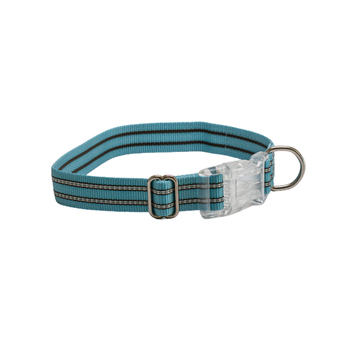 Premium Comfort Collar - Blue