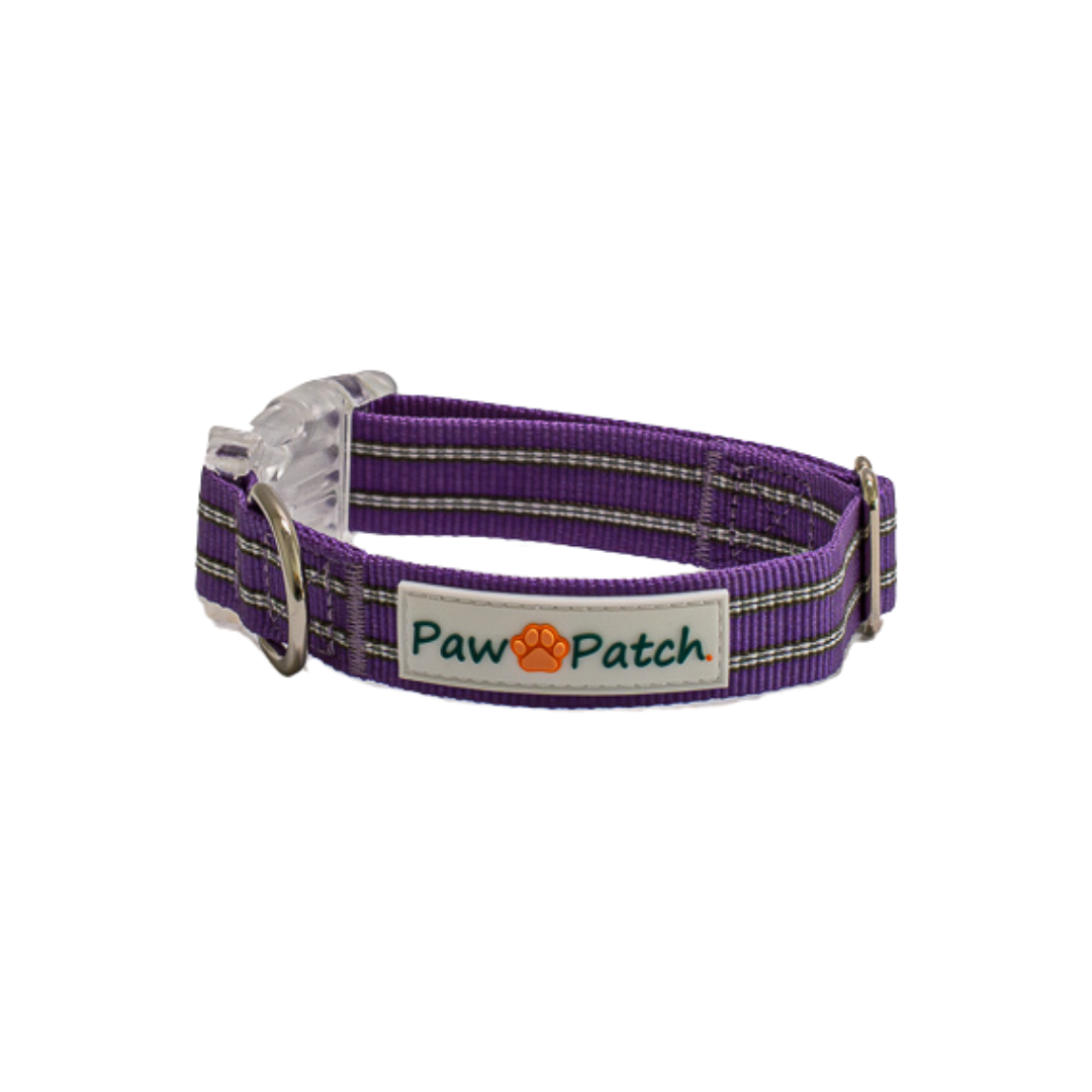 Premium Comfort Collar - Purple