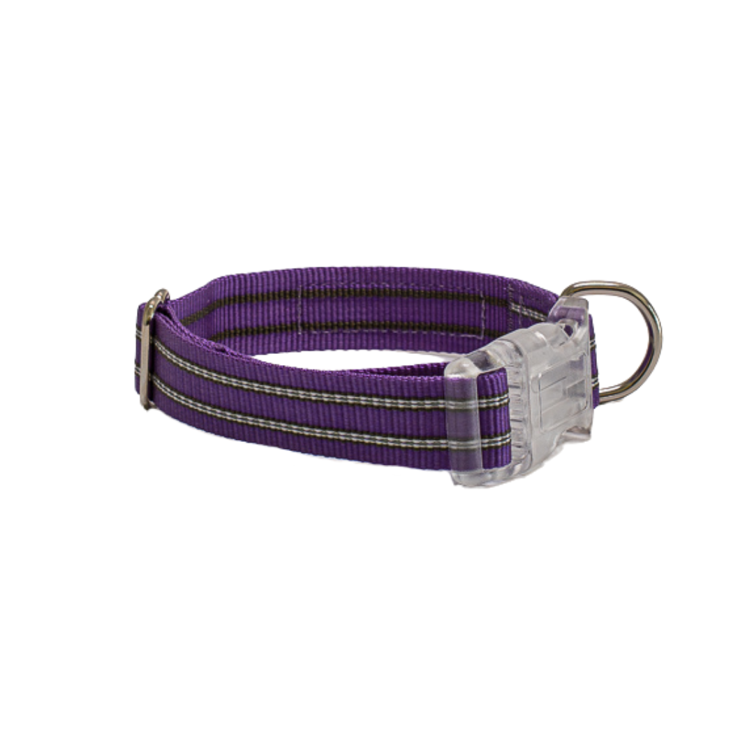 Premium Comfort Collar - Purple