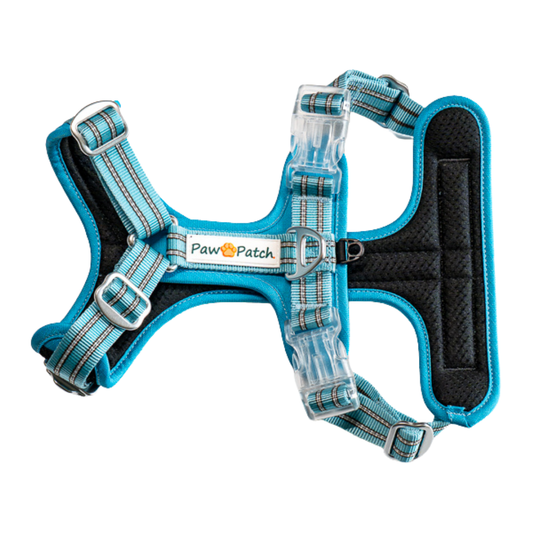 Premium Comfort Harness - Blue