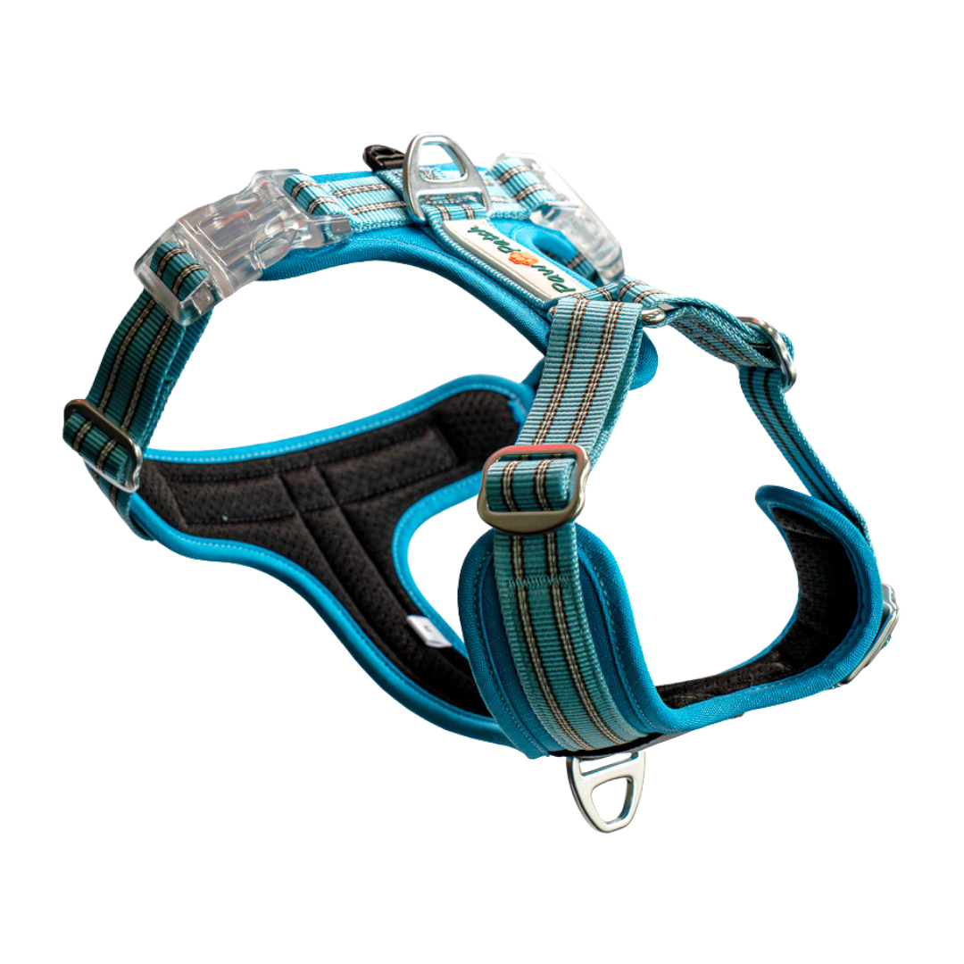 Premium Comfort Harness - Blue
