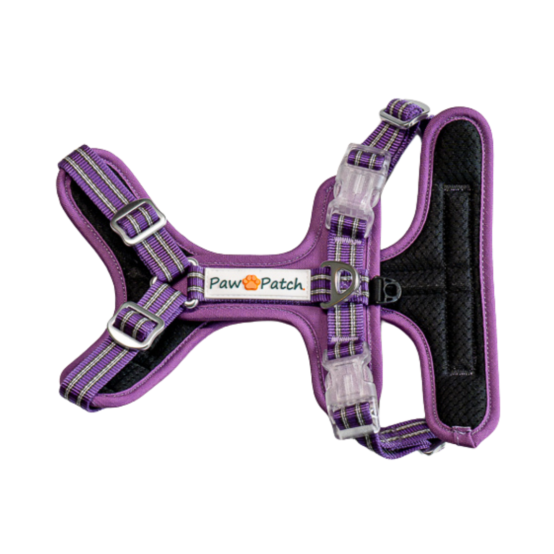 Premium Comfort Harness - Purple