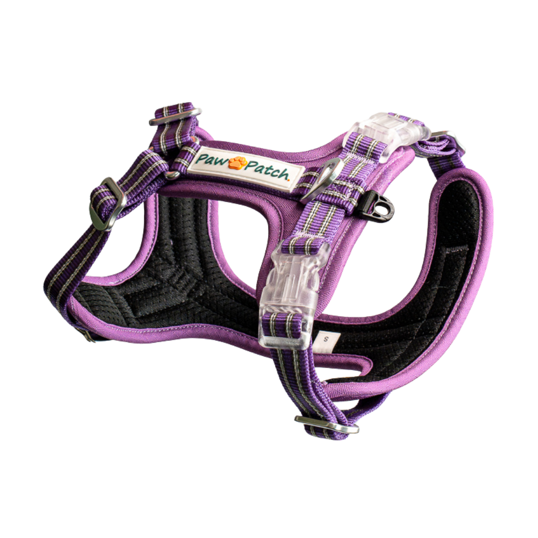 Premium Comfort Harness - Purple