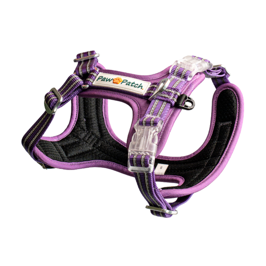 Premium Comfort Harness - Purple