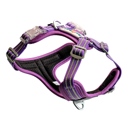 Premium Comfort Harness - Purple