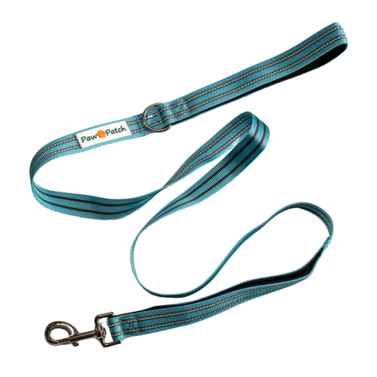 Premium Comfort Leash - Blue