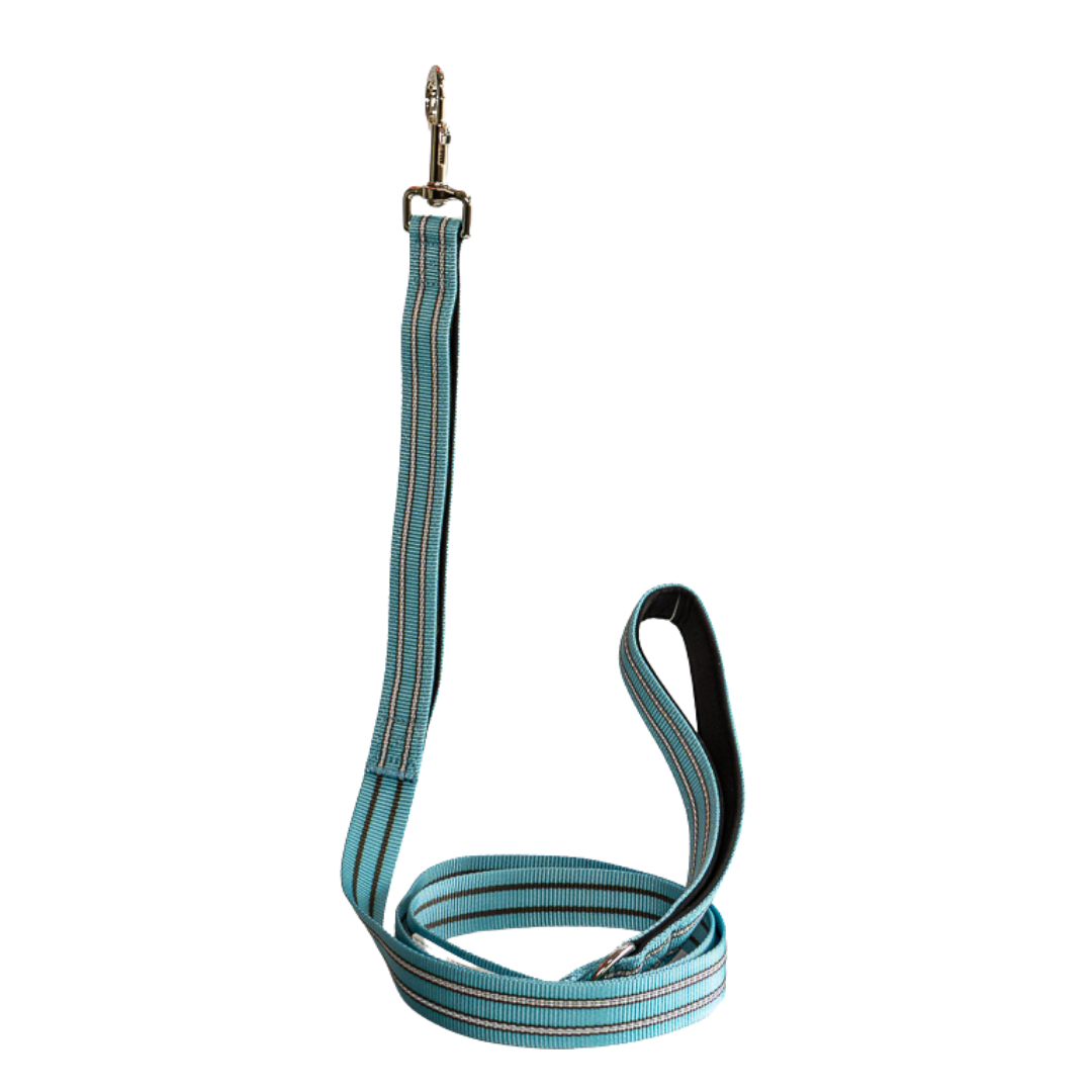 Premium Comfort Leash - Blue