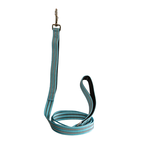 Premium Comfort Leash - Blue