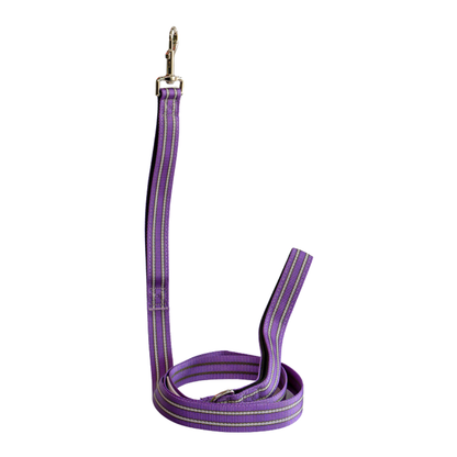 Premium Comfort Leash - Purple